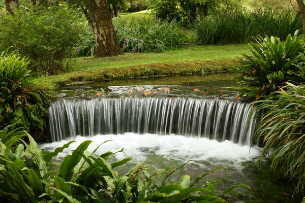 Campestre Oasi di Ninfa (23/05/2015) 00002
