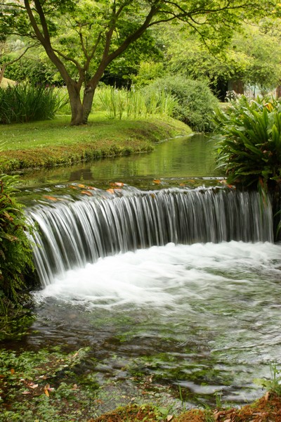 Campestre Oasi di Ninfa (23/05/2015) 00003