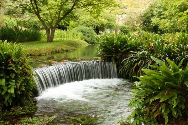 Campestre Oasi di Ninfa (23/05/2015) 00004