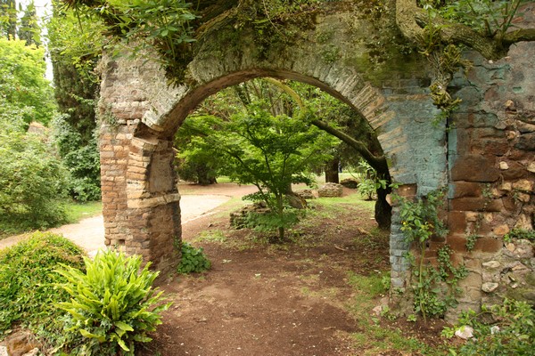 Campestre Oasi di Ninfa (23/05/2015) 00005