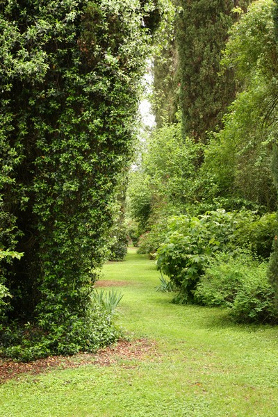 Campestre Oasi di Ninfa (23/05/2015) 00006