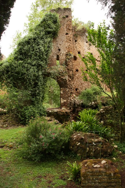 Campestre Oasi di Ninfa (23/05/2015) 00008