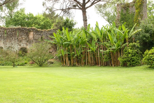 Campestre Oasi di Ninfa (23/05/2015) 00010