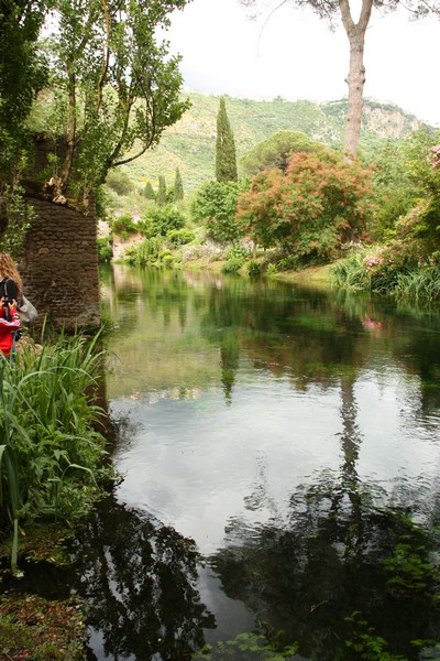 Campestre Oasi di Ninfa (23/05/2015) 00015