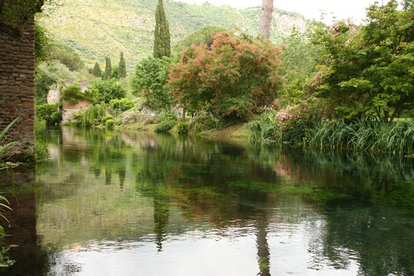 Campestre Oasi di Ninfa (23/05/2015) 00017