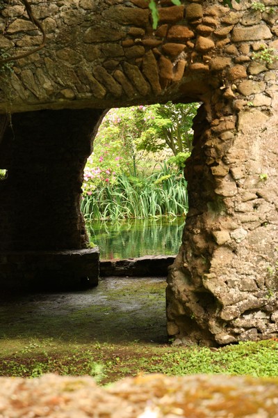 Campestre Oasi di Ninfa (23/05/2015) 00019