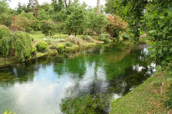 Campestre Oasi di Ninfa (23/05/2015) 00020