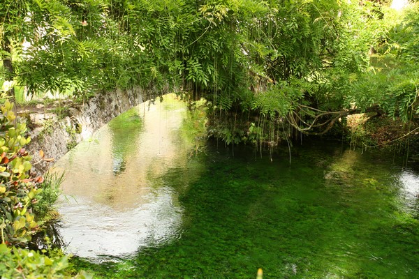 Campestre Oasi di Ninfa (23/05/2015) 00023