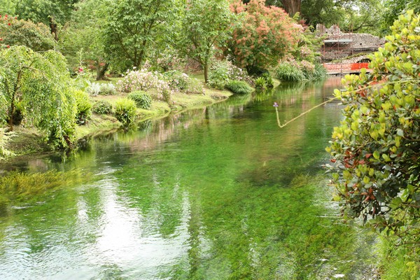 Campestre Oasi di Ninfa (23/05/2015) 00024