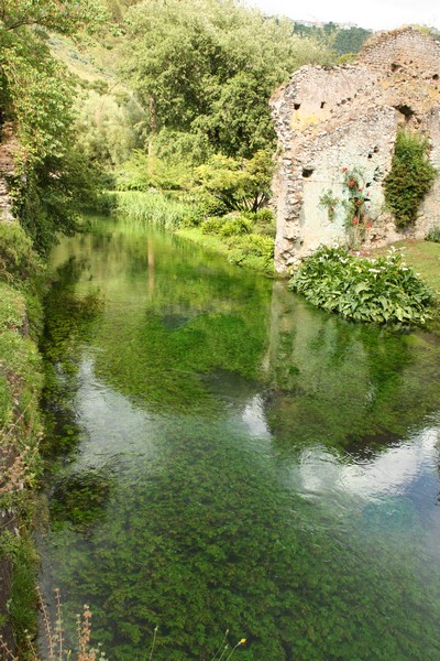 Campestre Oasi di Ninfa (23/05/2015) 00025
