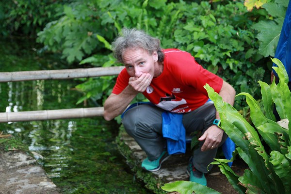 Campestre Oasi di Ninfa (23/05/2015) 00029