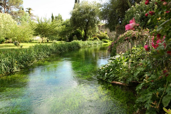 Campestre Oasi di Ninfa (23/05/2015) 00030