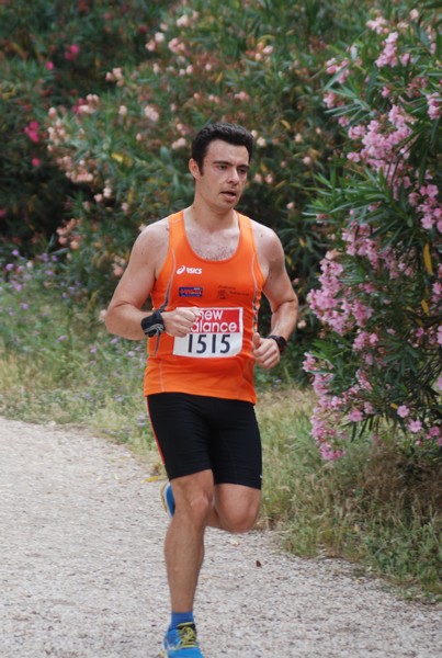 Solstizio d'estate ( C.E.)  (14/06/2015) 00002