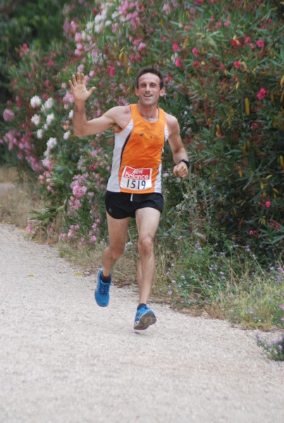 Solstizio d'estate ( C.E.)  (14/06/2015) 00007