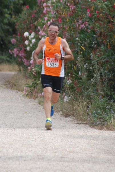 Solstizio d'estate ( C.E.)  (14/06/2015) 00022