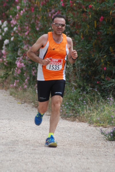 Solstizio d'estate ( C.E.)  (14/06/2015) 00024