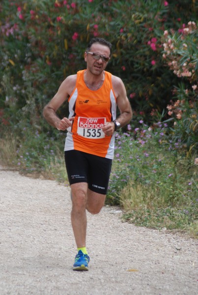Solstizio d'estate ( C.E.)  (14/06/2015) 00026