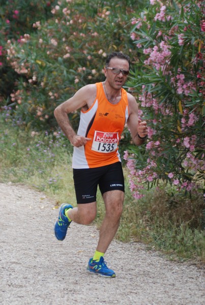 Solstizio d'estate ( C.E.)  (14/06/2015) 00028