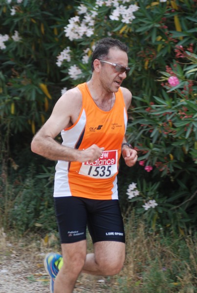 Solstizio d'estate ( C.E.)  (14/06/2015) 00030
