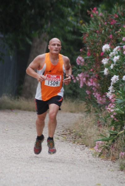 Solstizio d'estate ( C.E.)  (14/06/2015) 00034
