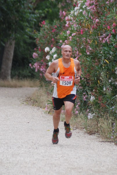 Solstizio d'estate ( C.E.)  (14/06/2015) 00037