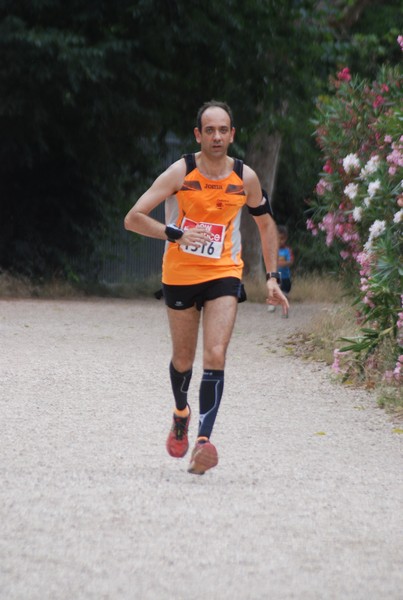 Solstizio d'estate ( C.E.)  (14/06/2015) 00059