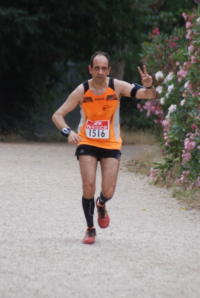 Solstizio d'estate ( C.E.)  (14/06/2015) 00060