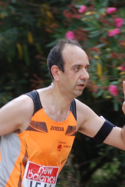Solstizio d'estate ( C.E.)  (14/06/2015) 00067