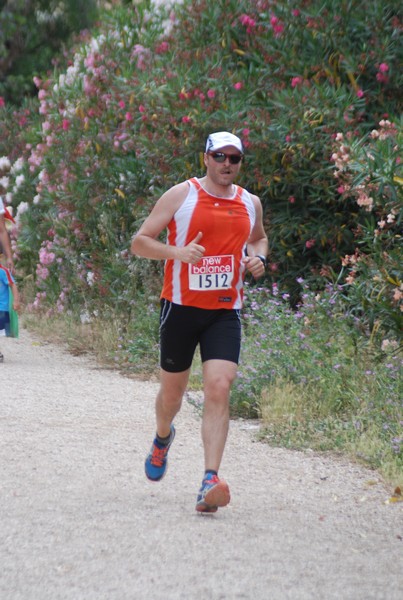 Solstizio d'estate ( C.E.)  (14/06/2015) 00068