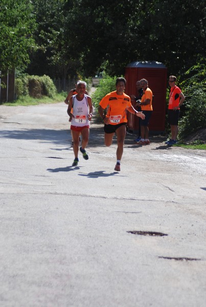 Corsa delle 3 Ville (C.E.) (06/09/2015) 00016