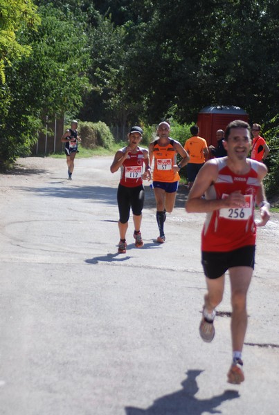 Corsa delle 3 Ville (C.E.) (06/09/2015) 00035