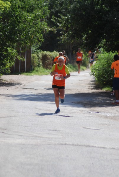 Corsa delle 3 Ville (C.E.) (06/09/2015) 00062