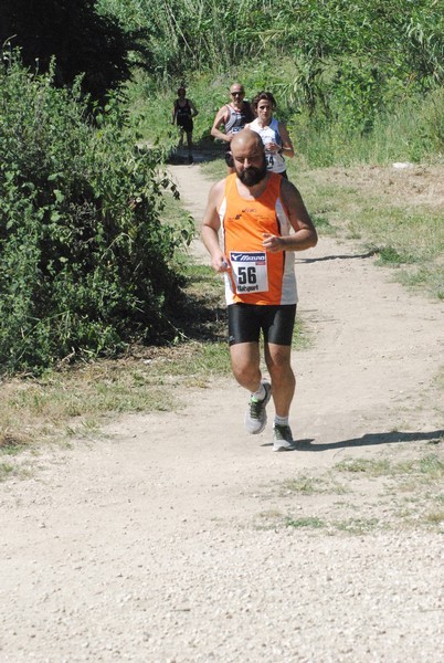 Race for Children (10/05/2015) 00130