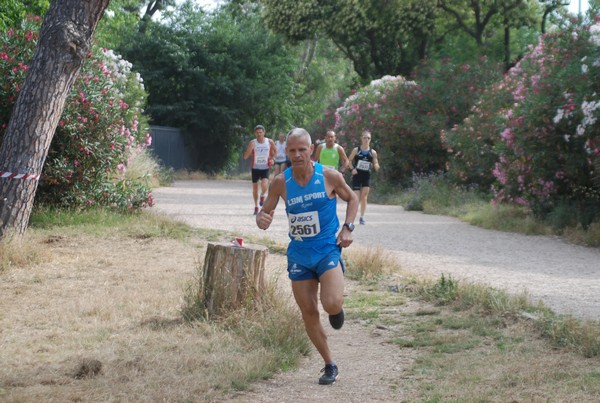 Solstizio d'estate ( C.E.)  (14/06/2015) 00003