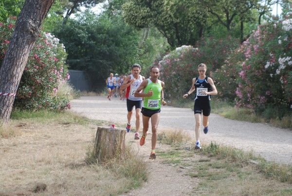 Solstizio d'estate ( C.E.)  (14/06/2015) 00007