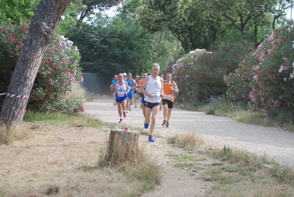 Solstizio d'estate ( C.E.)  (14/06/2015) 00010