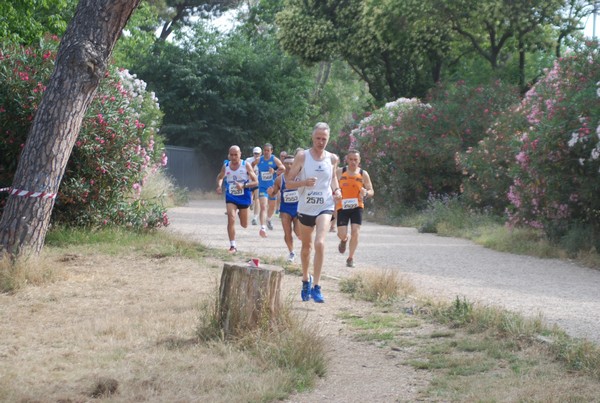 Solstizio d'estate ( C.E.)  (14/06/2015) 00011