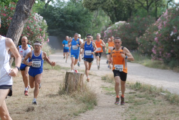Solstizio d'estate ( C.E.)  (14/06/2015) 00015