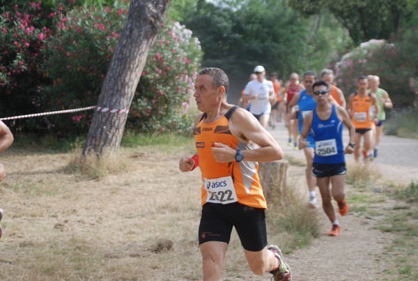 Solstizio d'estate ( C.E.)  (14/06/2015) 00017