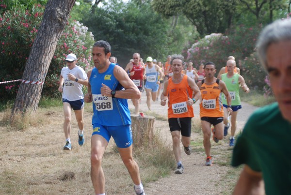 Solstizio d'estate ( C.E.)  (14/06/2015) 00018