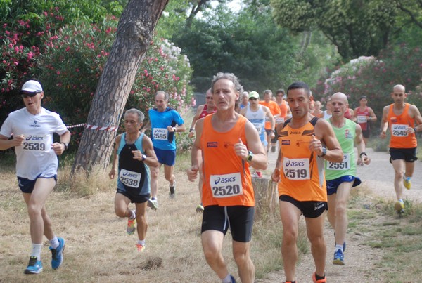 Solstizio d'estate ( C.E.)  (14/06/2015) 00019