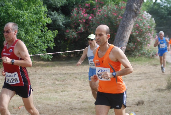 Solstizio d'estate ( C.E.)  (14/06/2015) 00021
