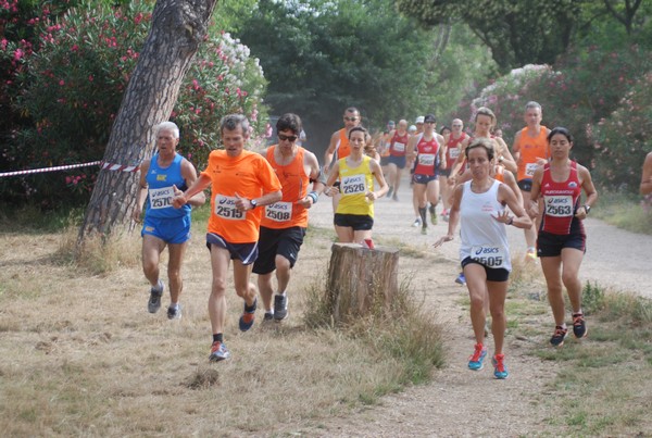 Solstizio d'estate ( C.E.)  (14/06/2015) 00023