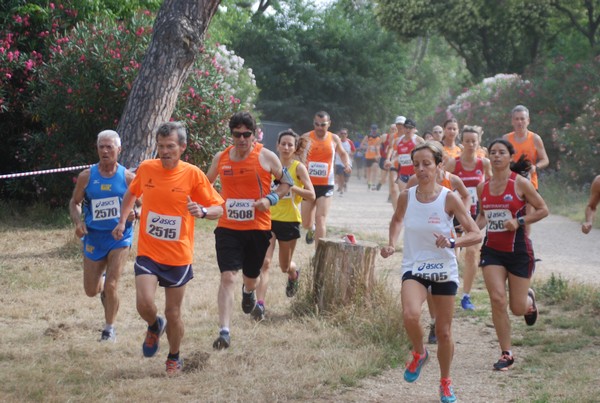 Solstizio d'estate ( C.E.)  (14/06/2015) 00024