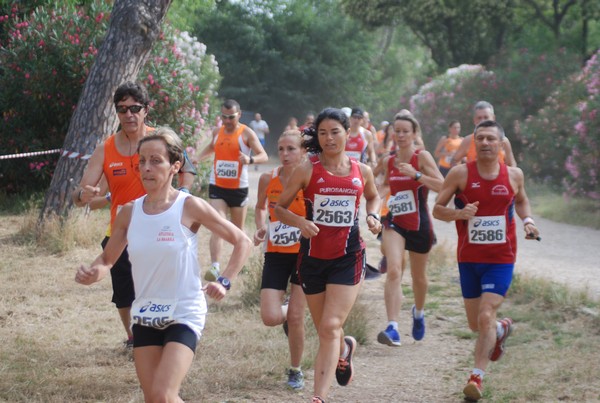 Solstizio d'estate ( C.E.)  (14/06/2015) 00025