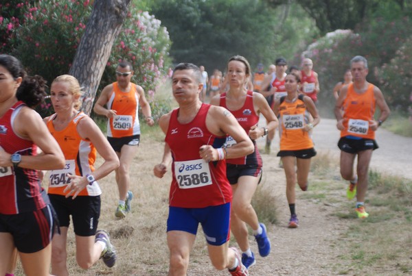 Solstizio d'estate ( C.E.)  (14/06/2015) 00026
