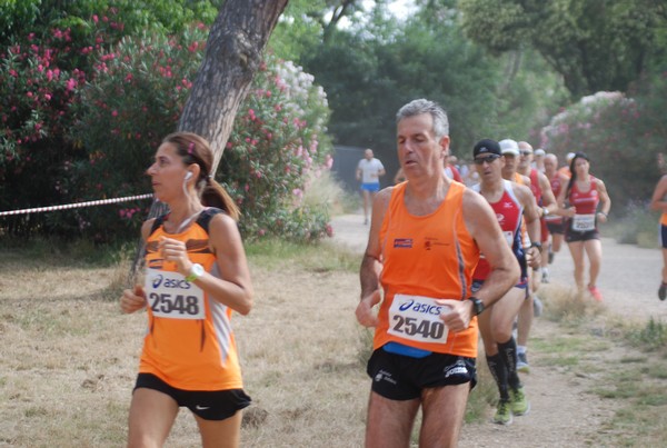 Solstizio d'estate ( C.E.)  (14/06/2015) 00029