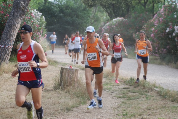 Solstizio d'estate ( C.E.)  (14/06/2015) 00030