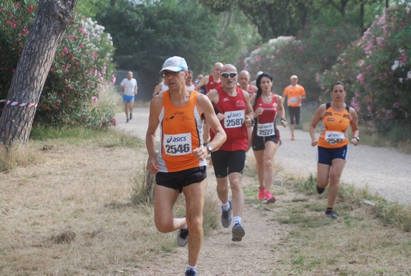 Solstizio d'estate ( C.E.)  (14/06/2015) 00031