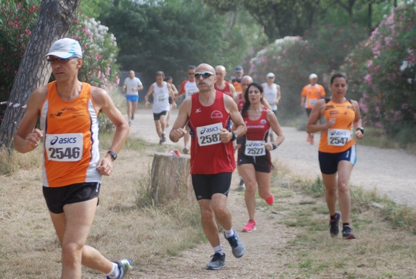 Solstizio d'estate ( C.E.)  (14/06/2015) 00032